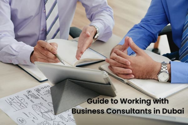 Guide to Working with Business Consultants in Dubai